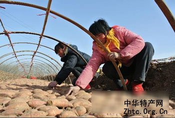 ����������һ�� ������Ӣ�ۡ�����ɽ