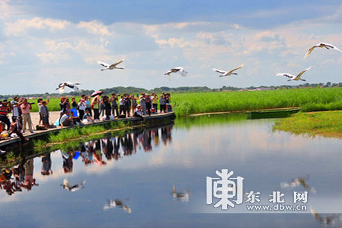 ����ʪ�����Ρ�