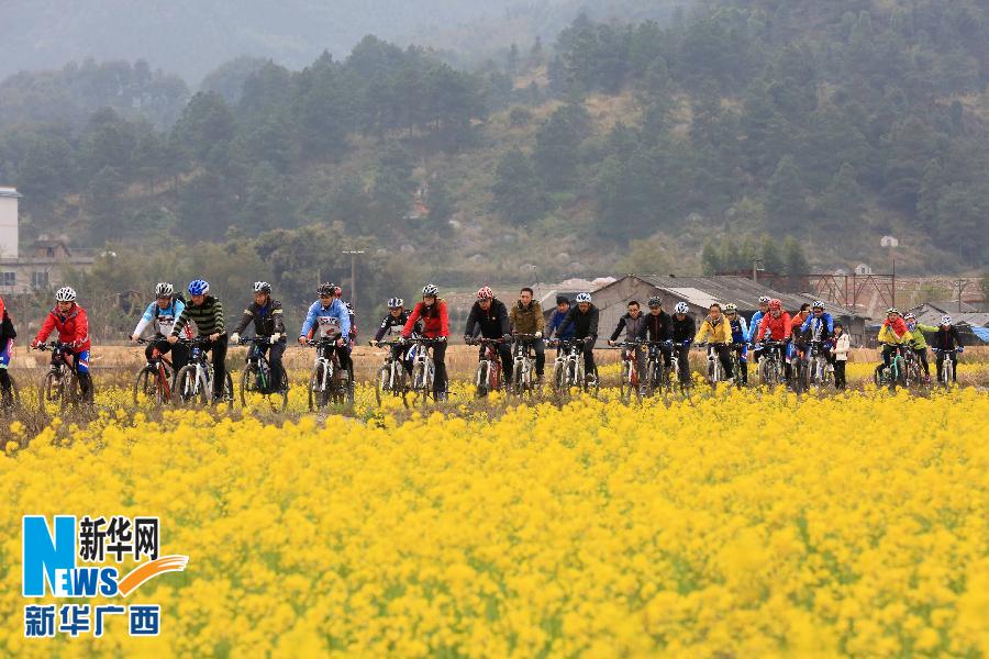 (晚报)(2)广西融安:美丽乡村催旺生态旅游