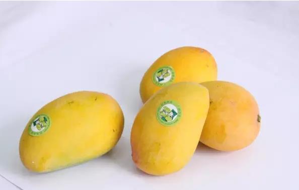 ̨ũ1â