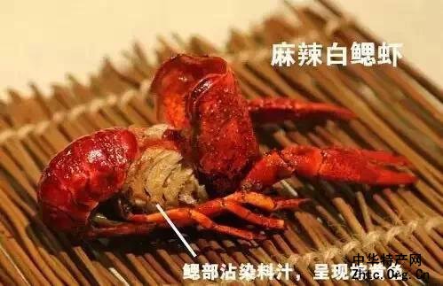 ӡ֮Ϻ