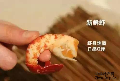 ӡ֮Ϻ