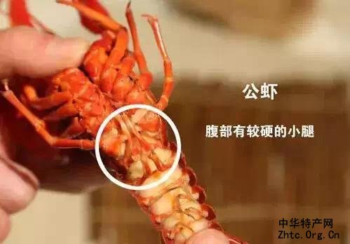 ӡ֮Ϻ