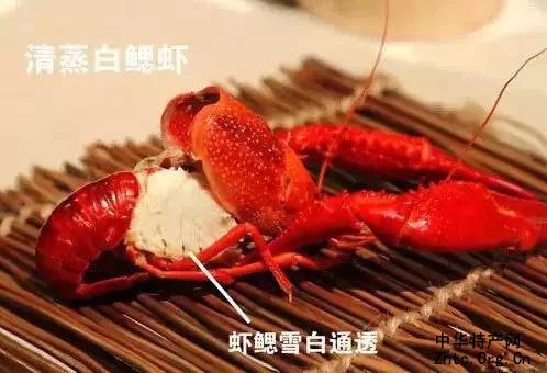 ӡ֮Ϻ