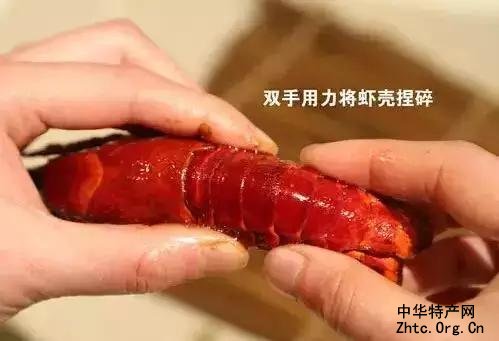 ӡ֮Ϻ