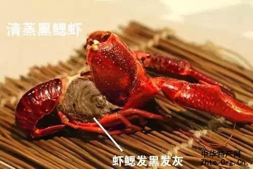 ӡ֮Ϻ